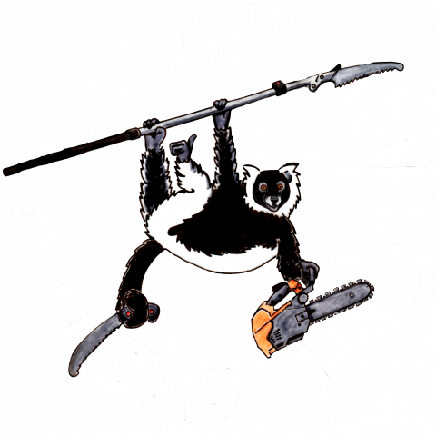 Leaping Lemurs